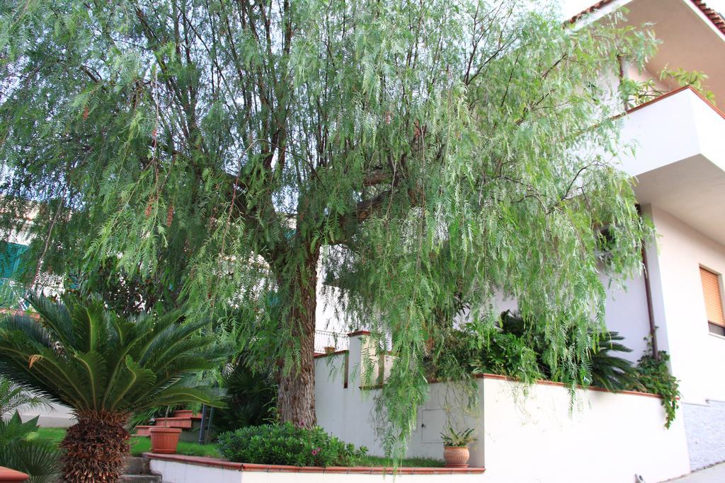 لاتْسّارو B&B La Piccola Oasi الغرفة الصورة